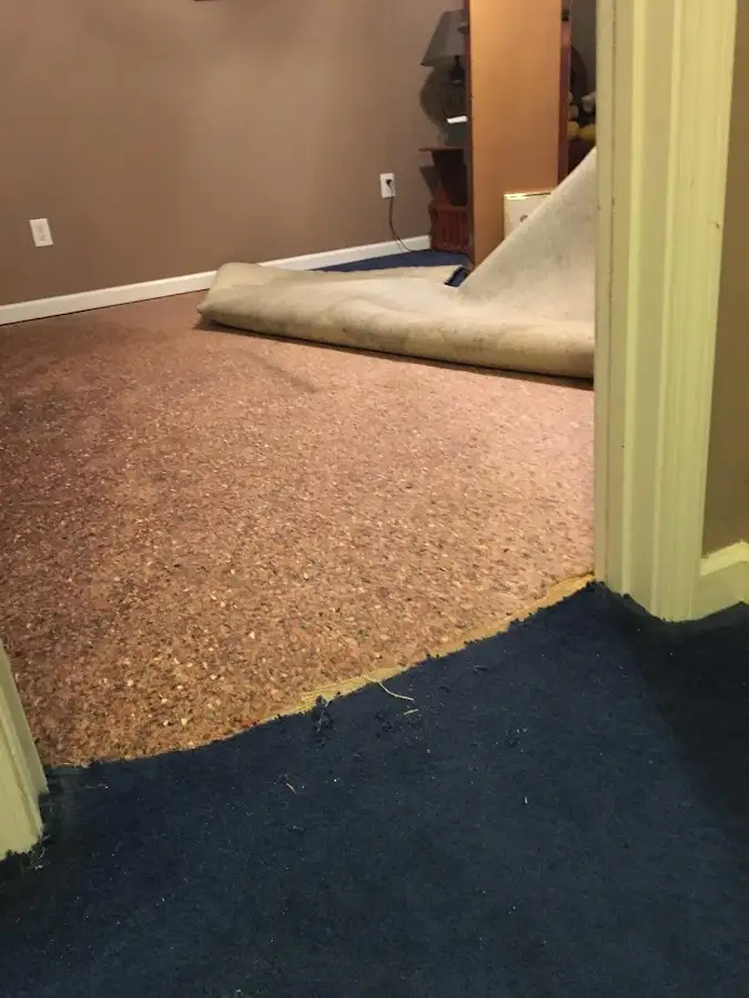 Carpet pad removal revealing water damage during Drying & Dehumidification in Redondo Beach