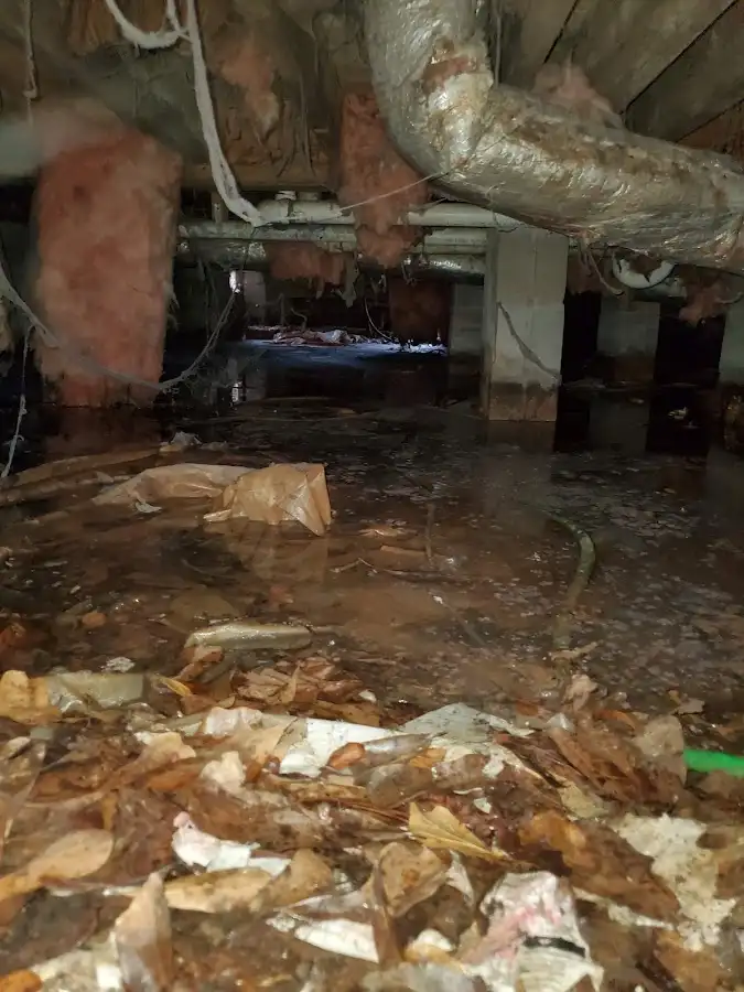 Crawl space flood assessment for Commercial Water Damage Restoration in Redondo Beach