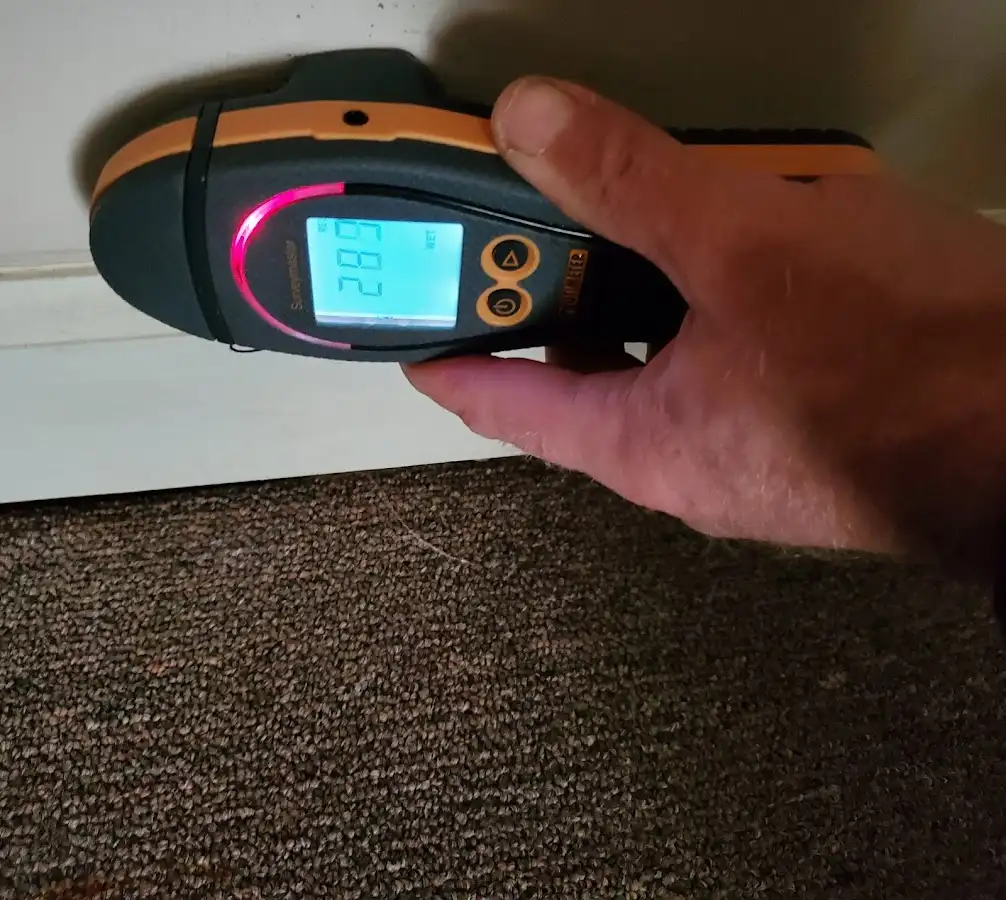 Moisture detection at baseboard during Mold Inspection & Testing in Redondo Beach